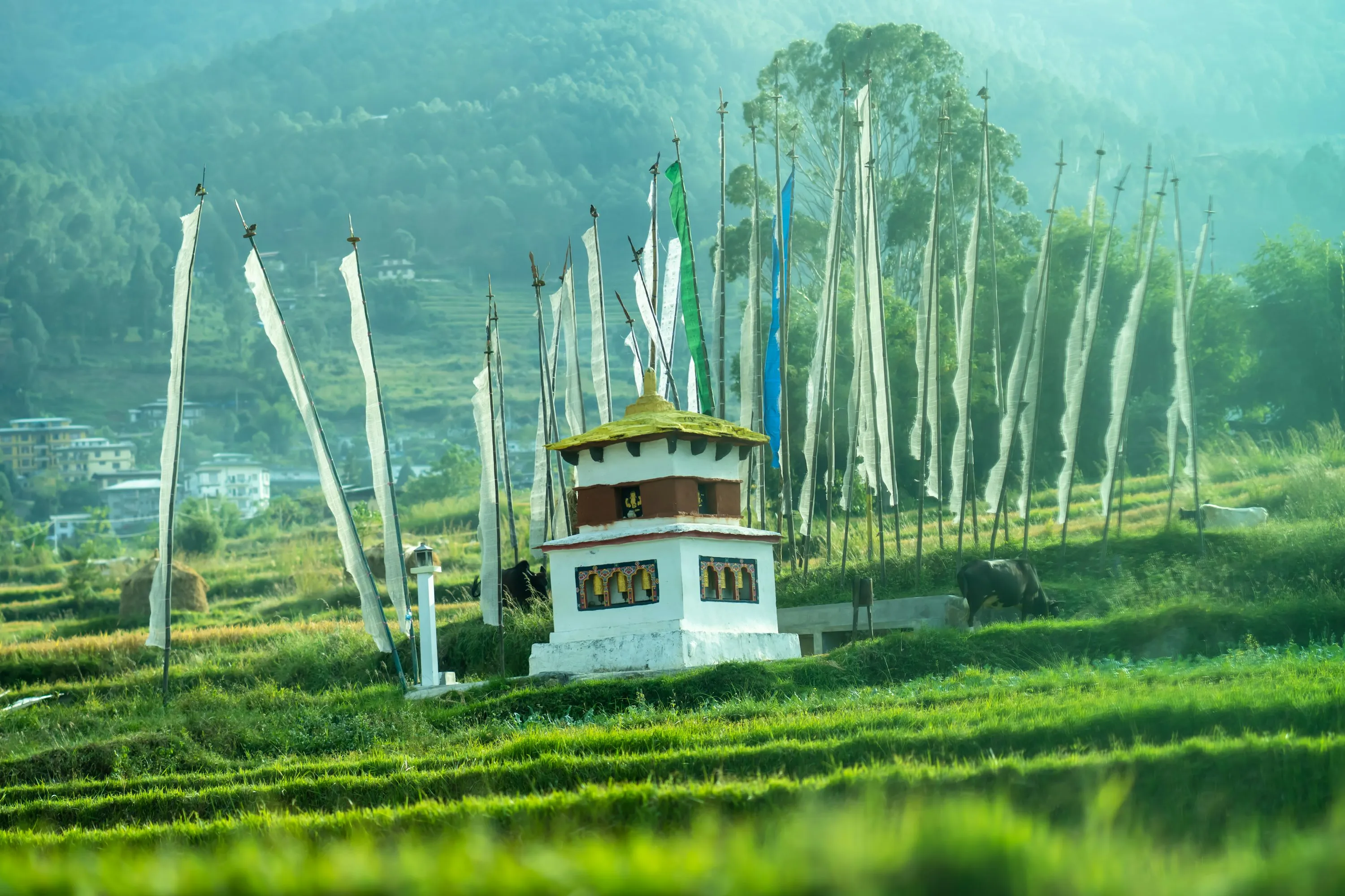 How to Travel to Bhutan from Mexico (2025): A Complete Guide to Visa, SDF, Flights, & Itineraries
