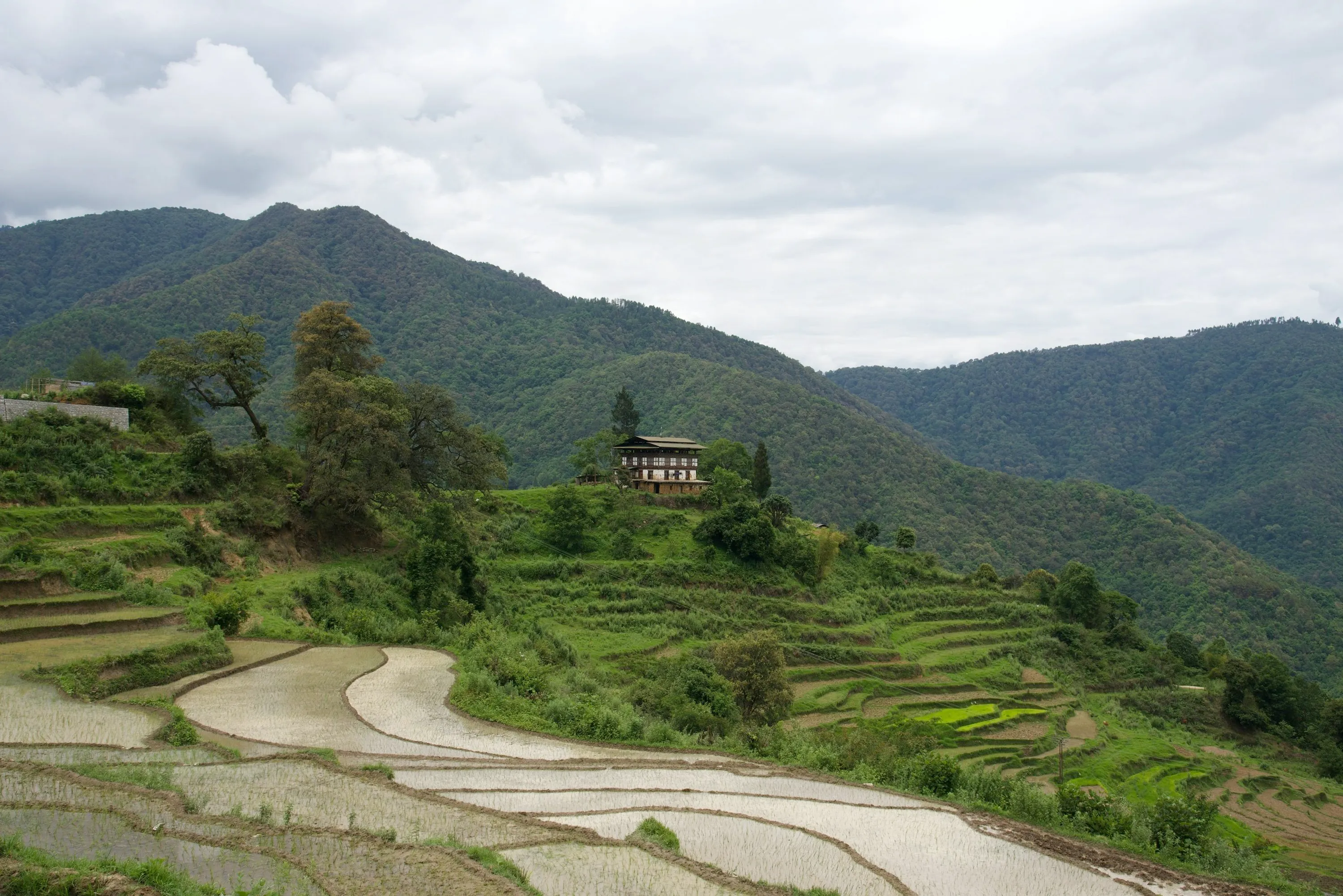 How to Travel to Bhutan from Eswatini (2025): A Complete Guide to Visa, SDF, Flights, & Itineraries