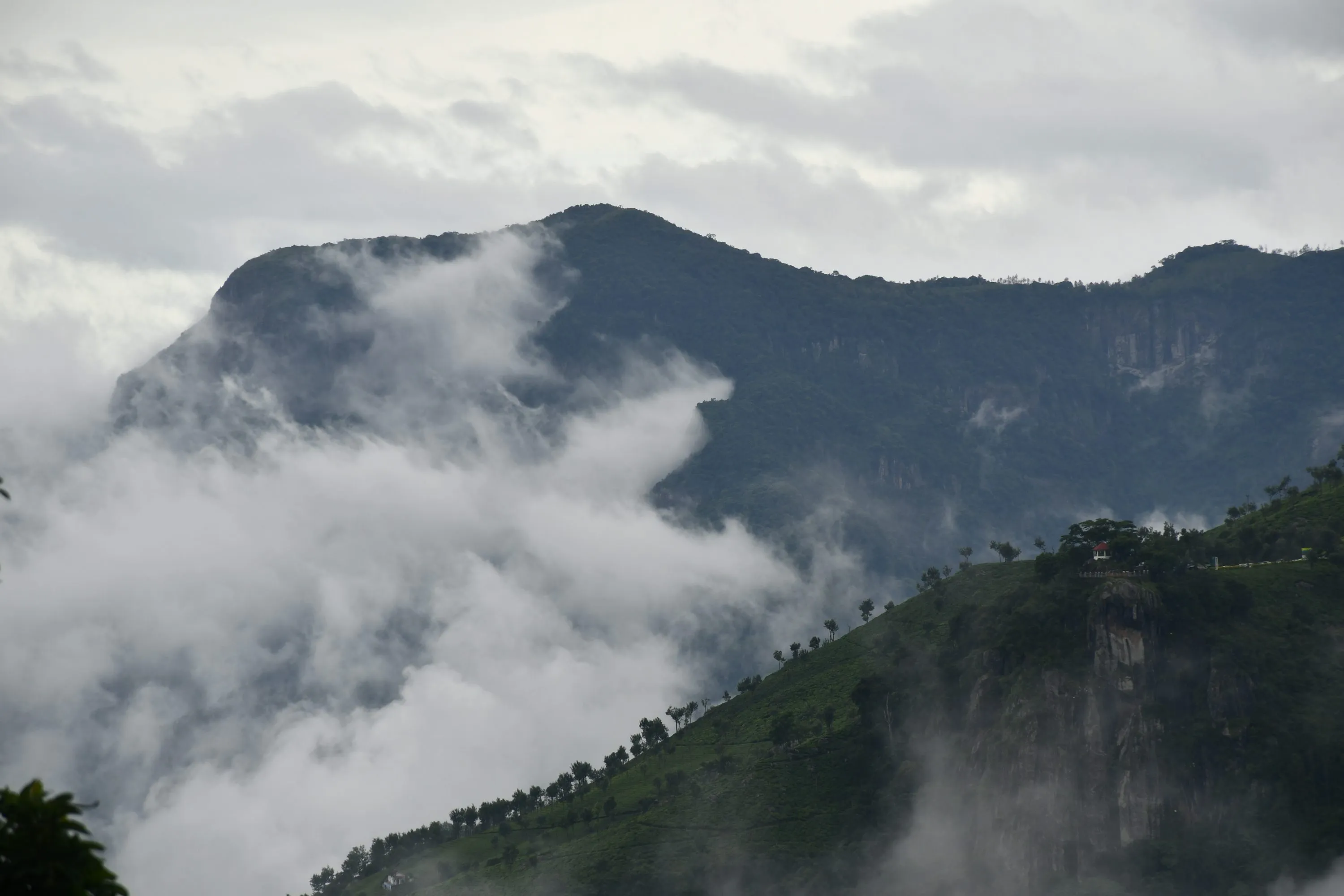 How to Travel to Bhutan from Venezuela (2025): A Complete Guide to Visa, SDF, Flights, & Itineraries