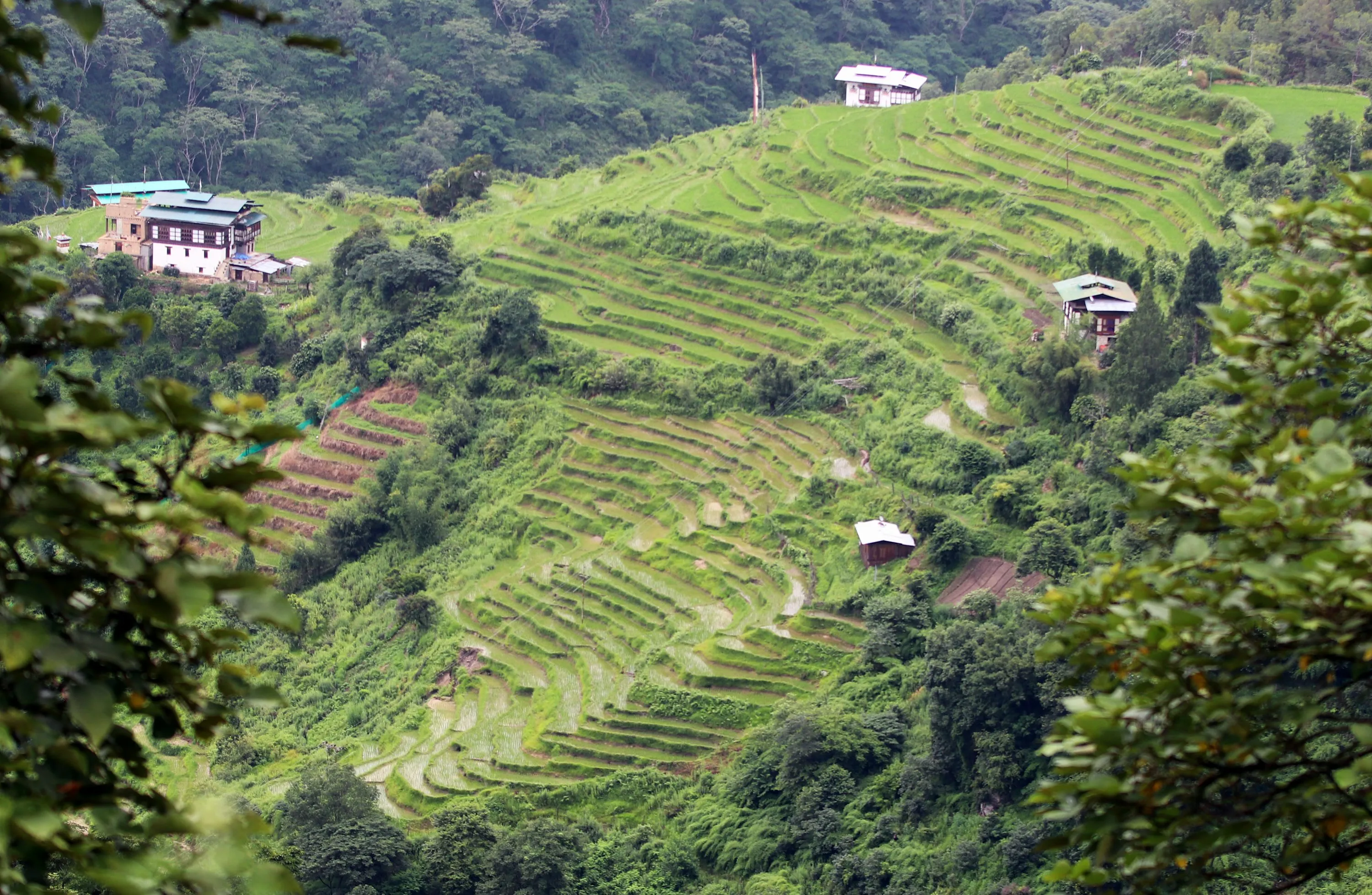 How to Travel to Bhutan from Zambia (2025): A Complete Guide to Visa, SDF, Flights, & Itineraries