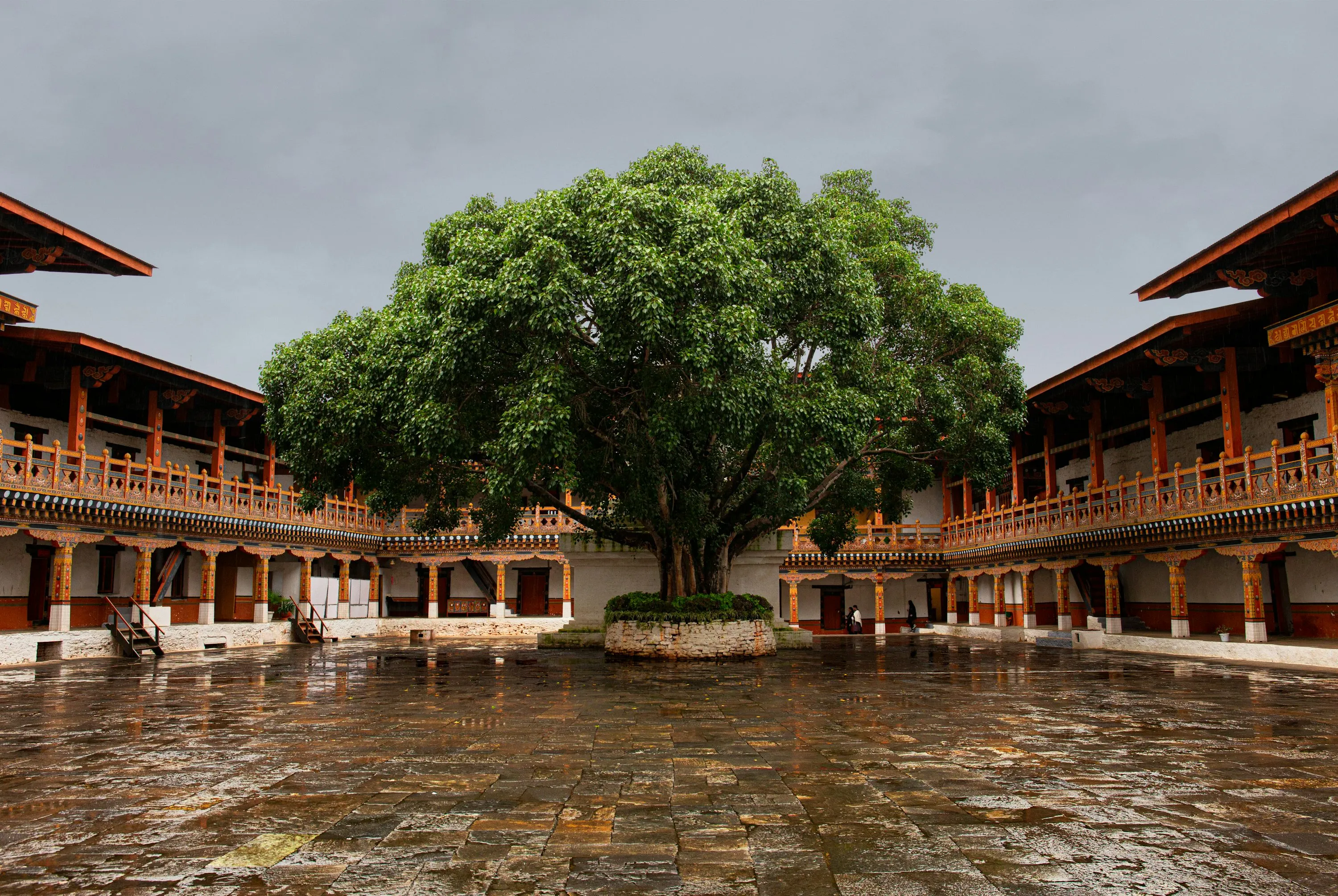 How to Travel to Bhutan from Brazil (2025): A Complete Guide to Visa, SDF, Flights, & Itineraries