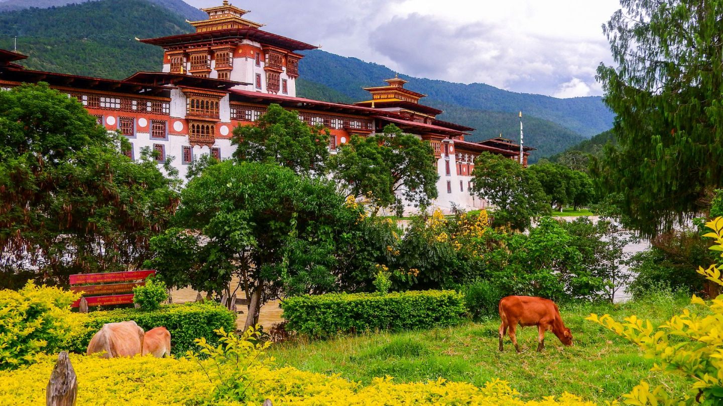 How to Travel to Bhutan from China (2025): A Complete Guide to Visa, SDF, Flights, & Itineraries