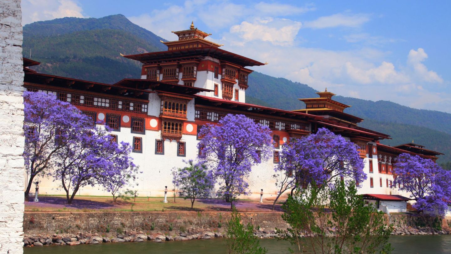 How to Travel to Bhutan from Nigeria (2025): A Complete Guide to Visa, SDF, Flights, & Itineraries